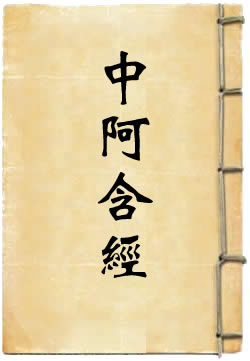 中阿含经选译